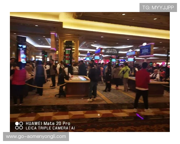 2024澳门赌场排名前十最值得体验的赌场场所推荐，享受极致娱乐体验